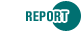 Download Report